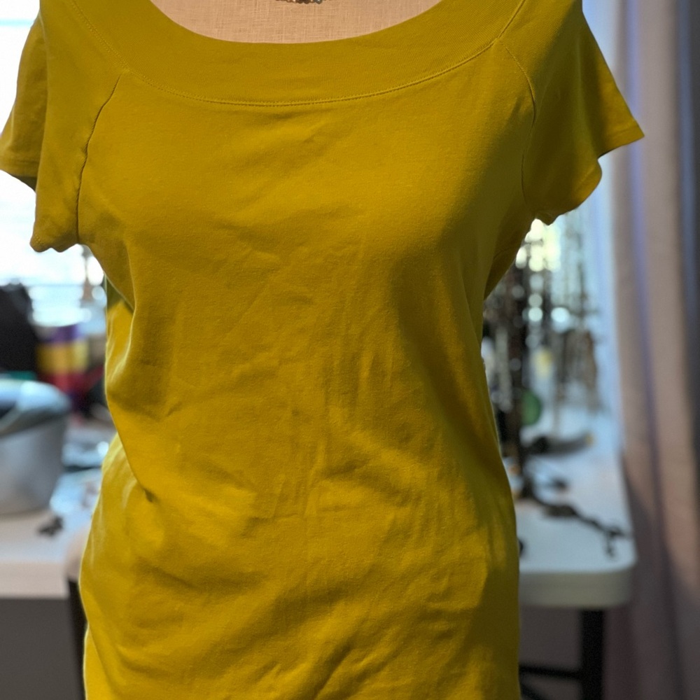 Liz Signature NWOT Large Top Super Soft Chartreuse Fabric 25L x 20 Width